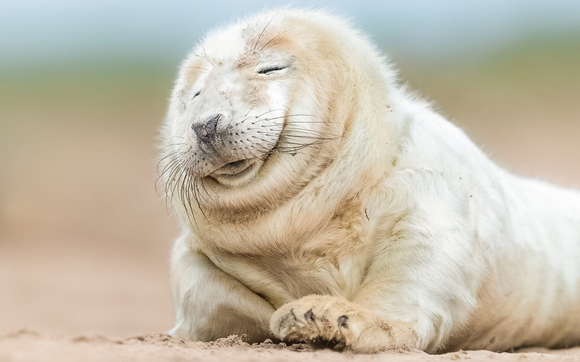 圣城铁蹄下的独舞,当马刺体系碾压爵士,米切尔的光芒如何刺破苍穹?