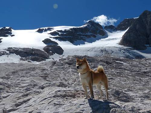 圣城铁蹄下的独舞,当马刺体系碾压爵士,米切尔的光芒如何刺破苍穹?