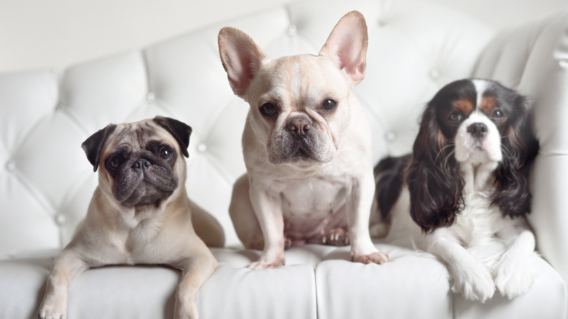 双星闪耀，当日本轻取奥地利与萨拉赫刷新纪录在同一天改写历史