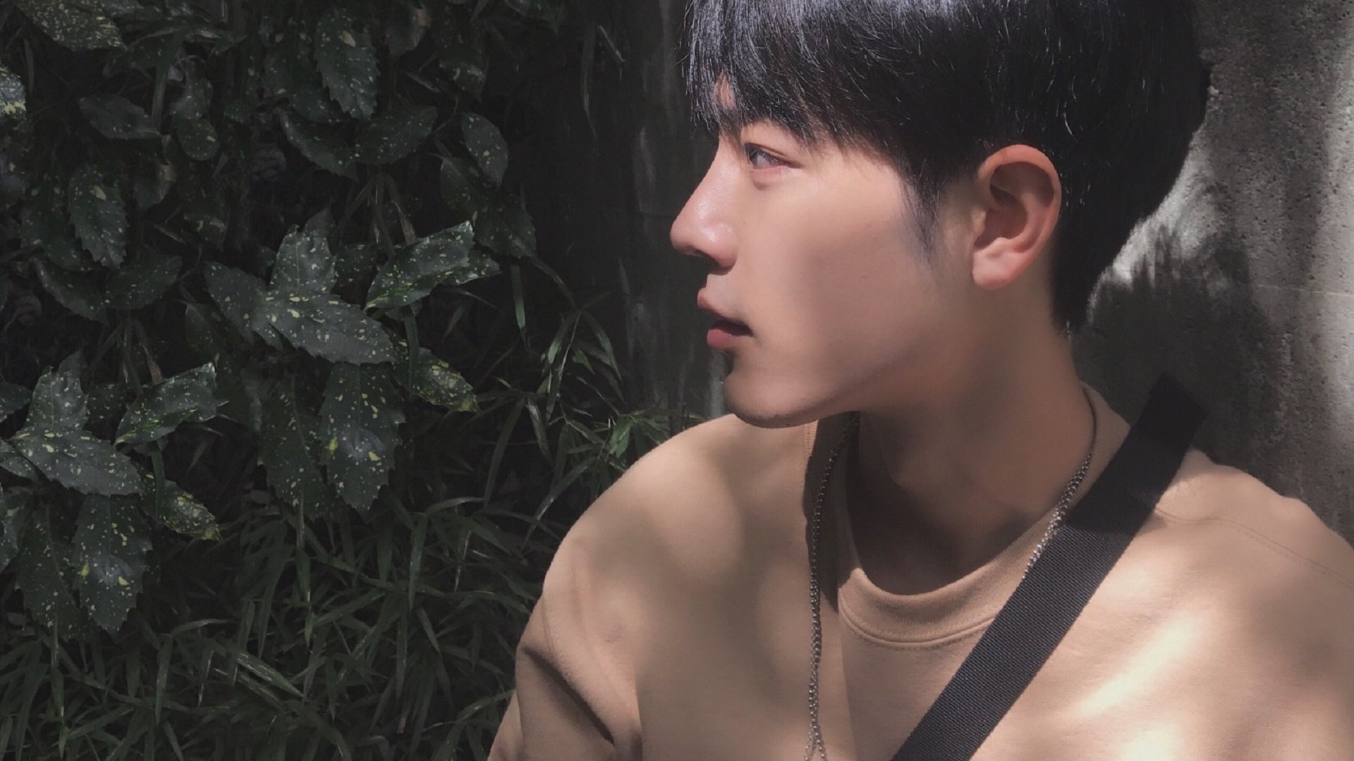 胜负之间,红牛本队压倒性领先背后的战略博弈,与周冠宇如何重新定义F1新秀的成长之路