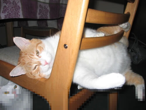 广东宏远血战未来战士 文班亚马45分难救主 惊心动魄的跨时空对决