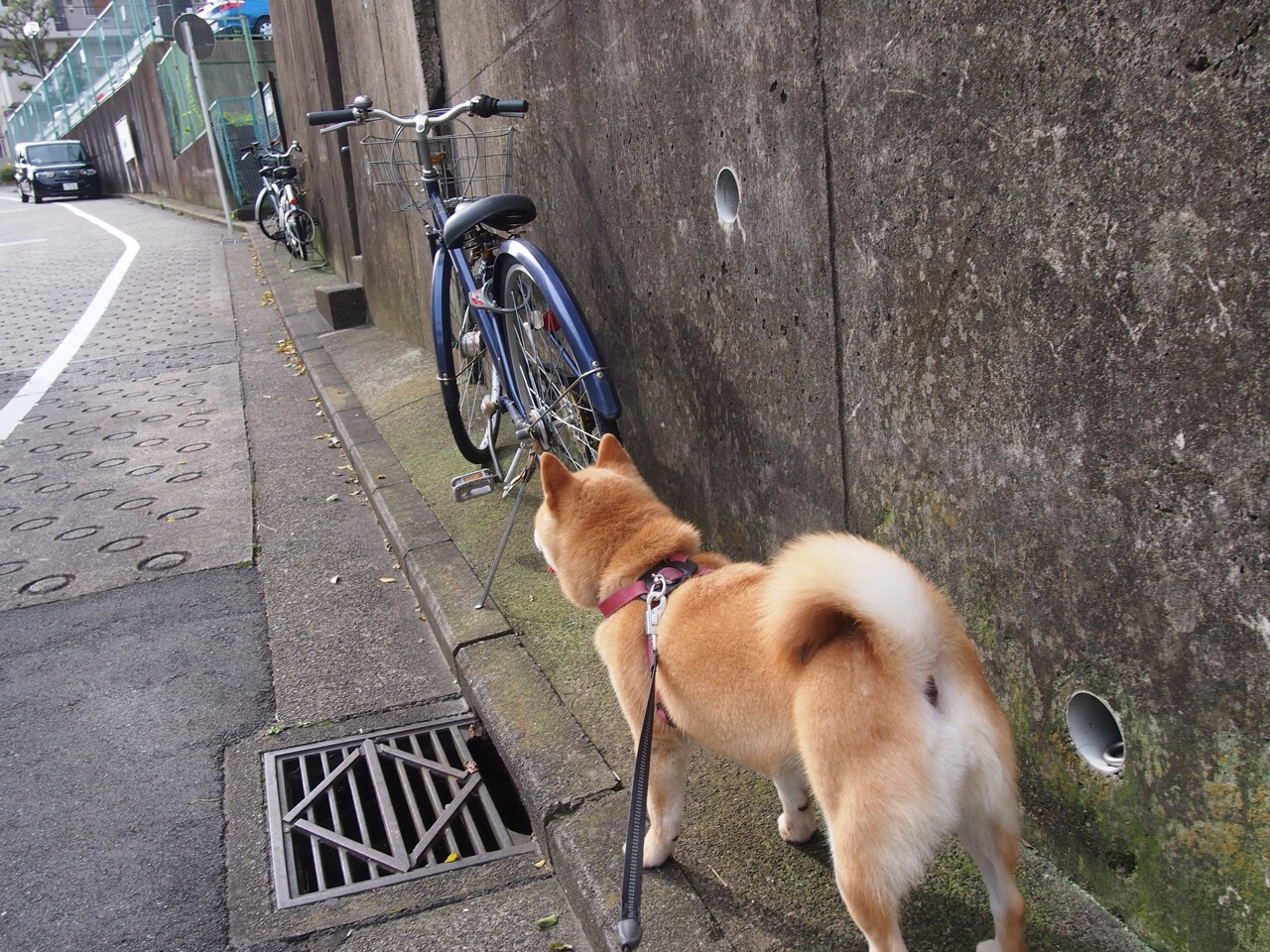 风暴眼与数学家，凯恩末节接管，克罗地亚精密掌控那不勒斯