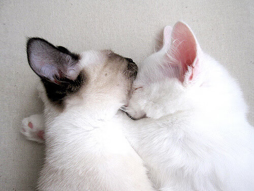 一舞定山河，哈弗茨如何用一剑封喉，定义唯一的年度之夜