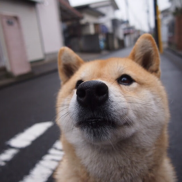 克瓦拉茨赫利亚导演攻防转换，比利亚雷亚尔与佛罗伦萨的战术博弈