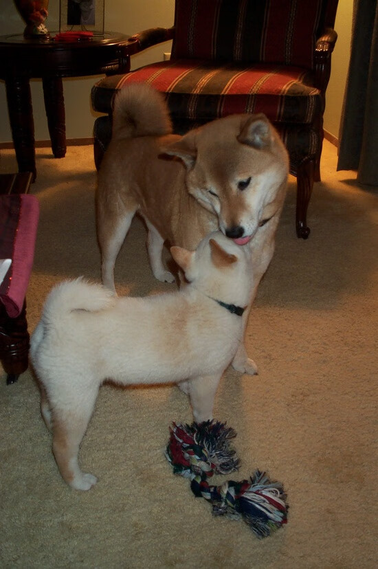 当利物浦神隐时，他的祖国正以他之名决胜