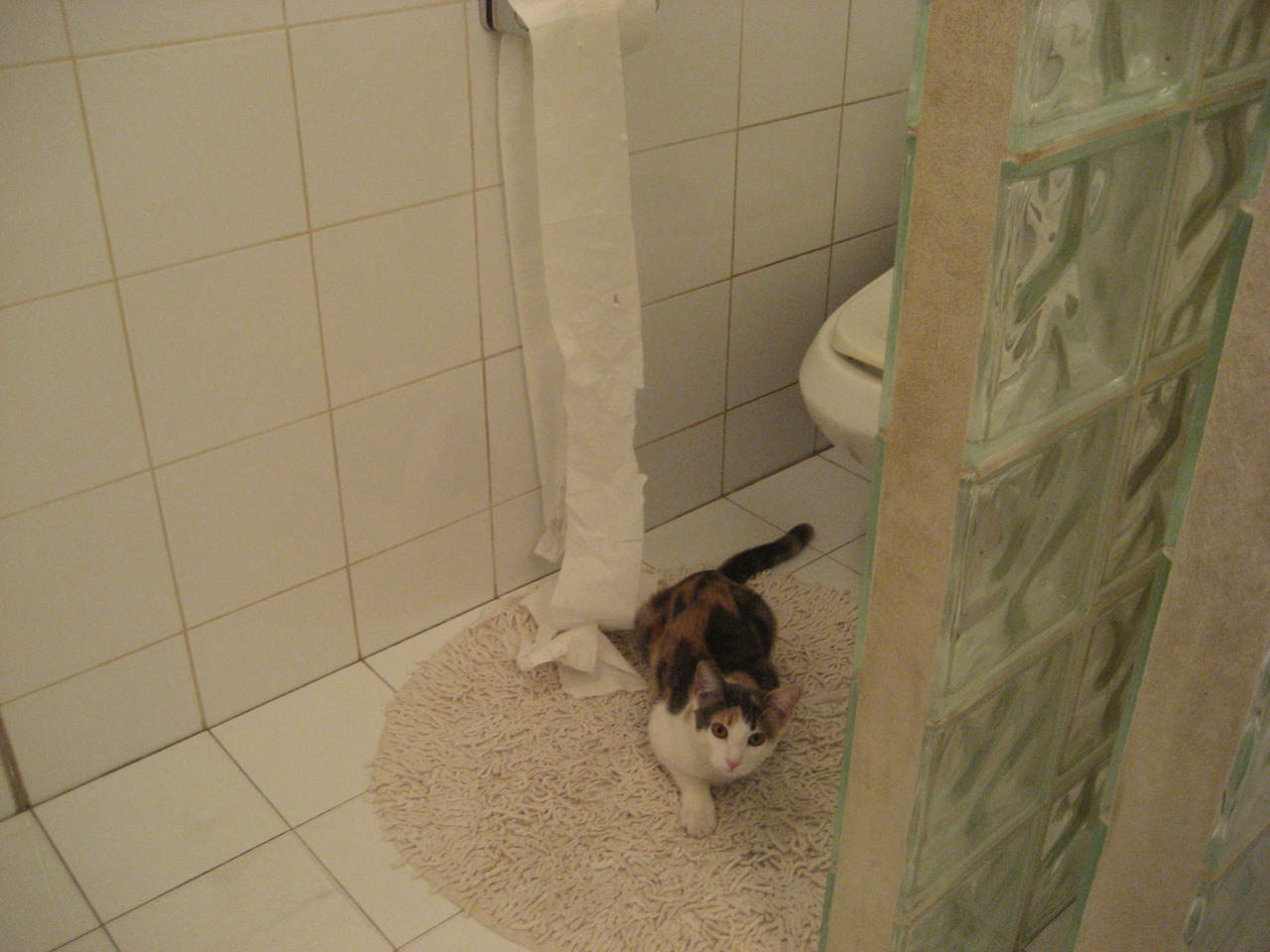 北境黎明，努涅斯凿开冰封，威尔士于无声处听惊雷