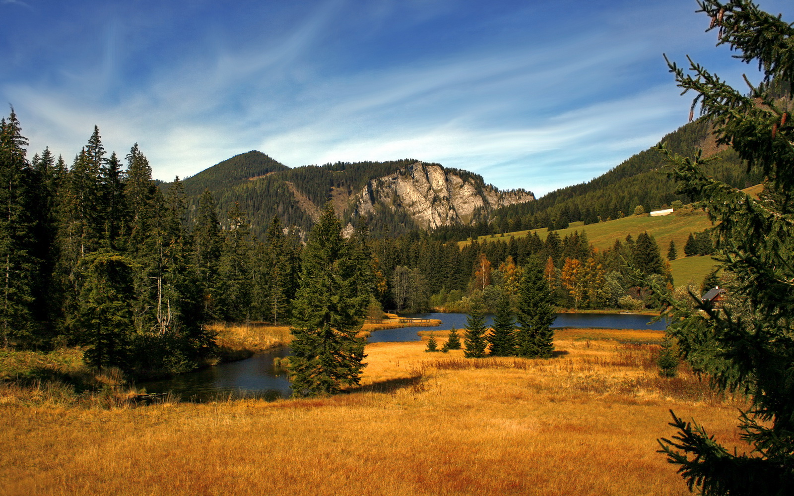爱游戏入口-黄蜂惊蛰，踏平广厦之夜，爱德华兹的关键先生宣言