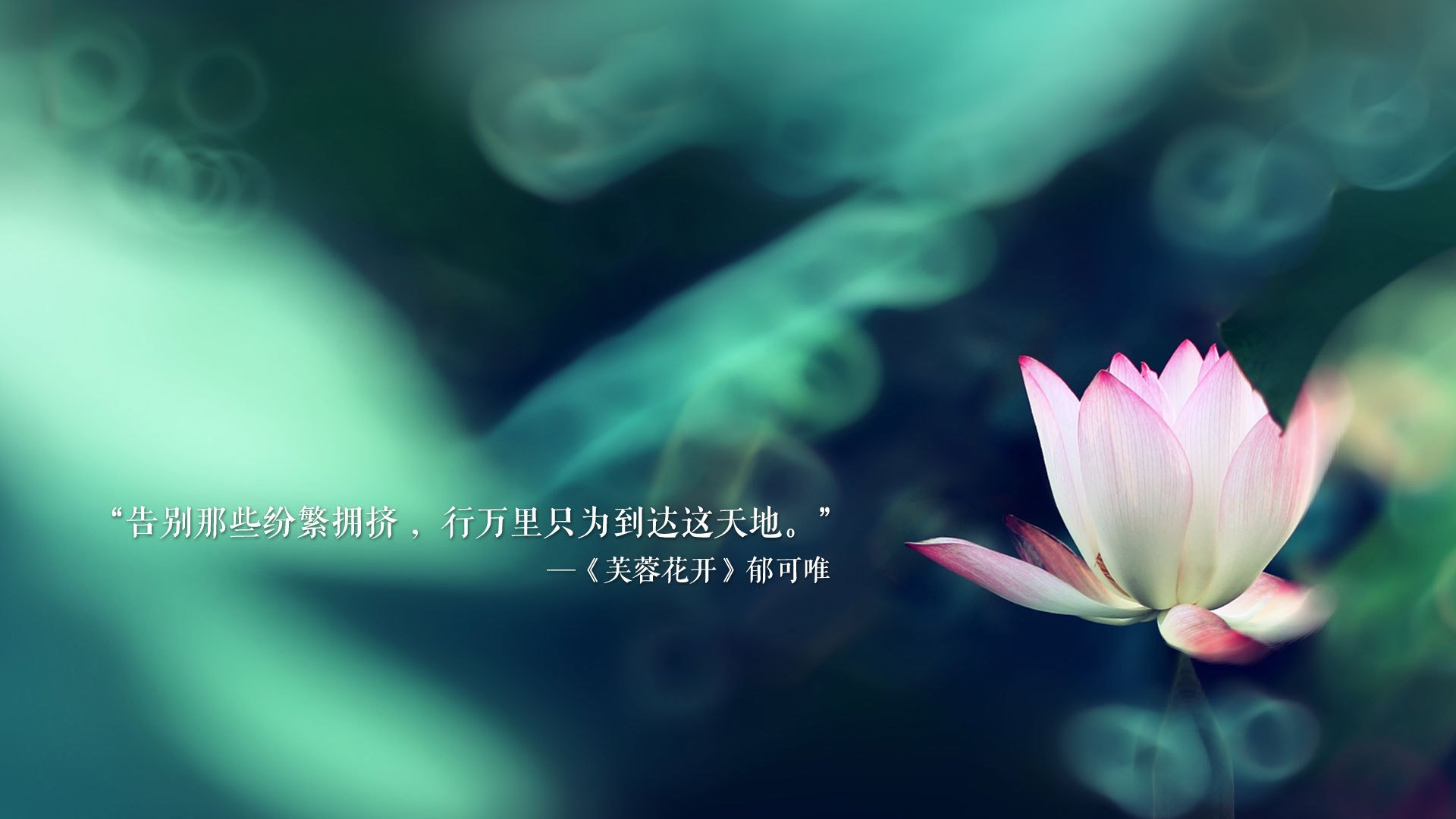 沙漠之火引爆宿命对决，2026世界杯B组，伊朗铁骑踏碎厄瓜多尔，罗德里戈独舞定乾坤